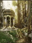 pic for Magic Forest